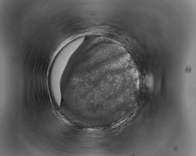 X0000097900100200804041447