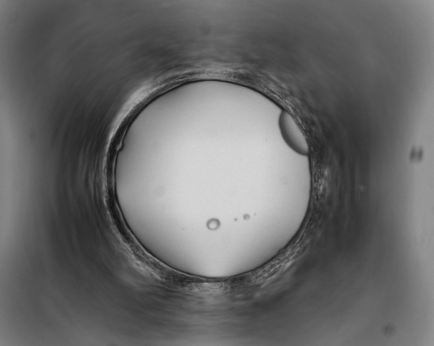 X0000097900102200804041447