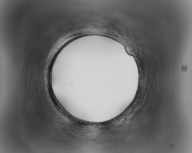 X0000097900103200804041447