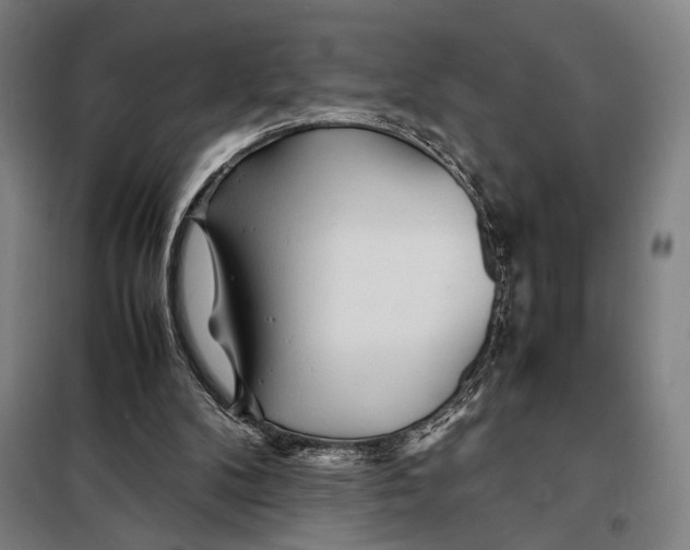 X0000097900104200804041447