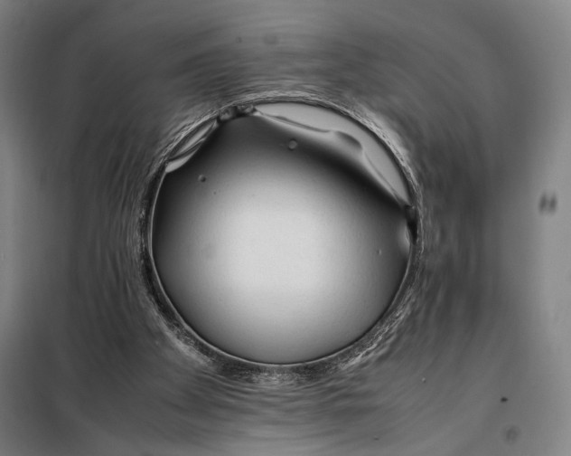 X0000097900105200804041447