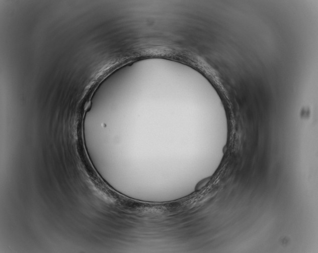 X0000097900106200804041447