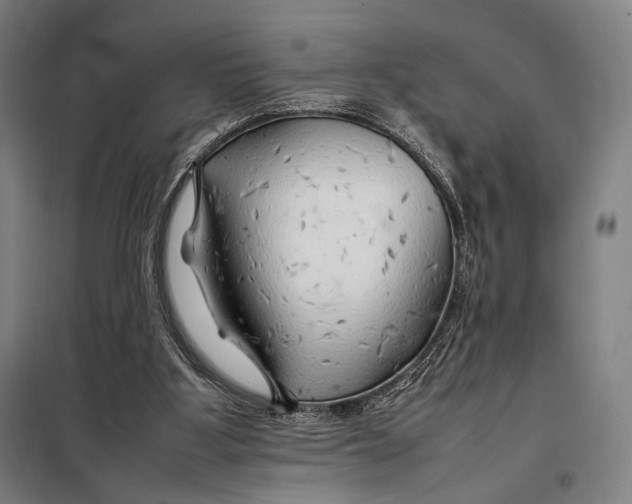 X0000097900107200804041447