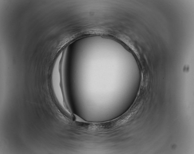 X0000097900109200804041446