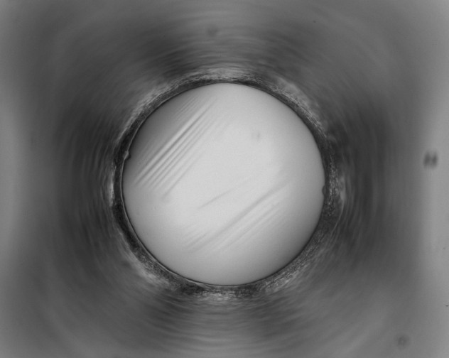 X0000097900110200804041446