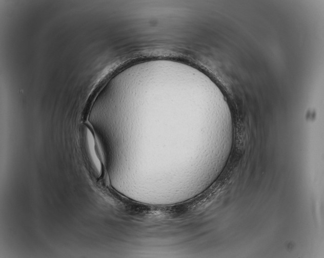 X0000097900111200804041446