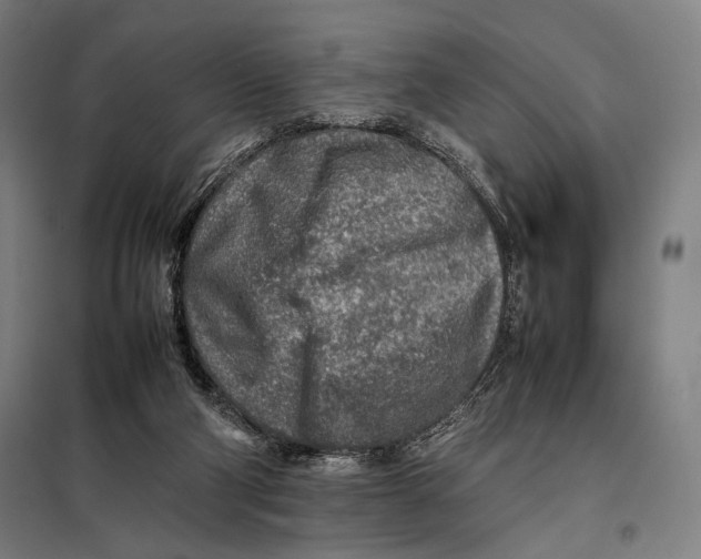 X0000097900114200804041446