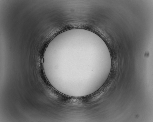 X0000097900117200804041446