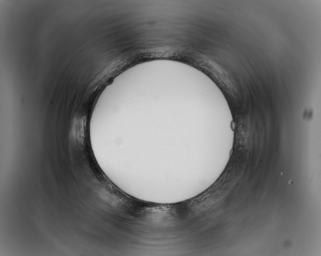 X0000097900118200804041446