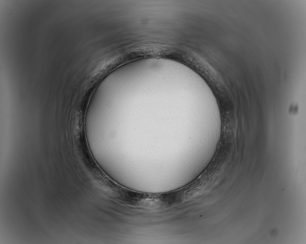 X0000097900119200804041446