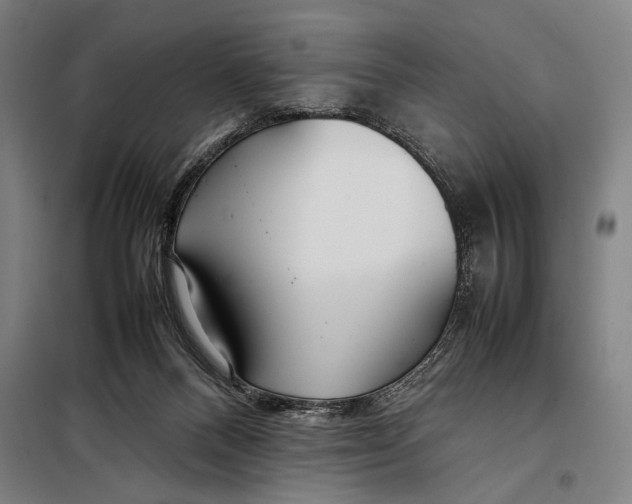 X0000097900120200804041446