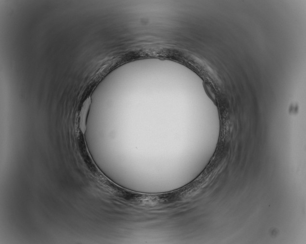 X0000097900121200804041446