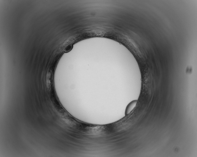 X0000097900122200804041446