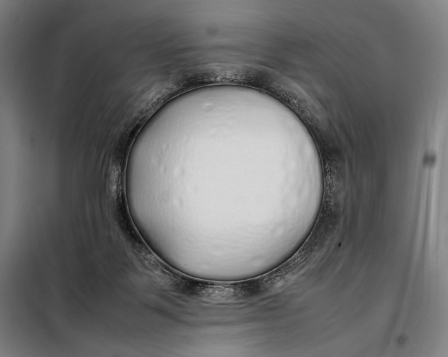 X0000097900123200804041446