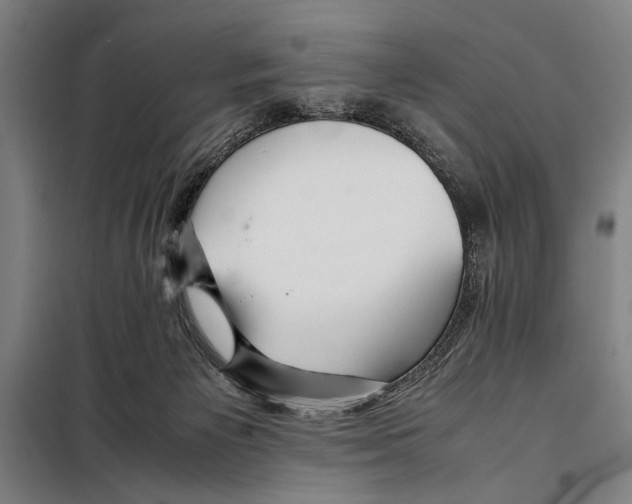 X0000097900125200804041446