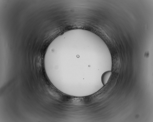 X0000097900126200804041446