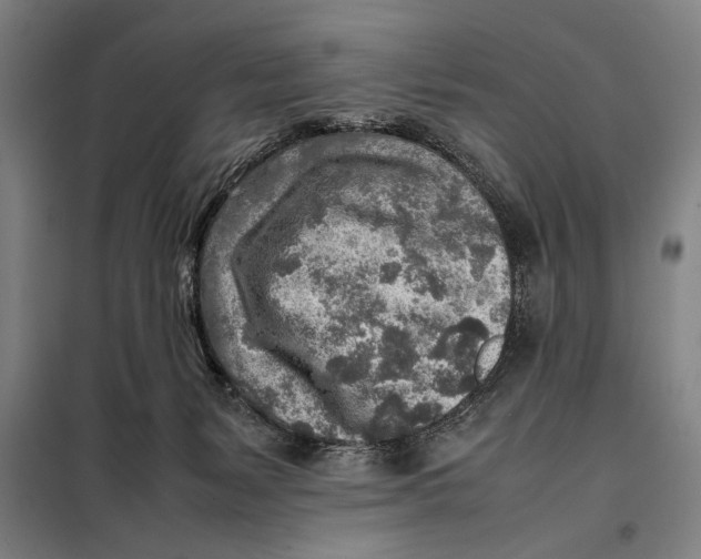 X0000097900127200804041446