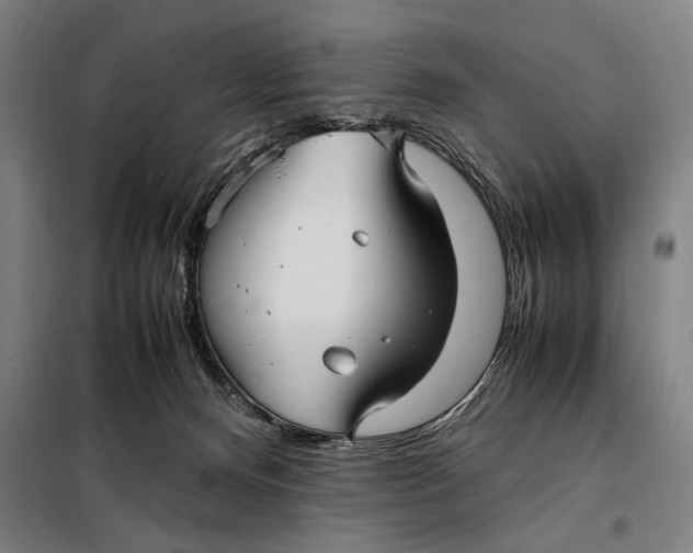 X0000097900128200804041446