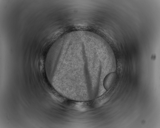 X0000097900130200804041446