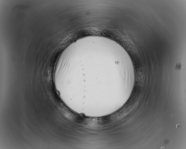 X0000097900131200804041446