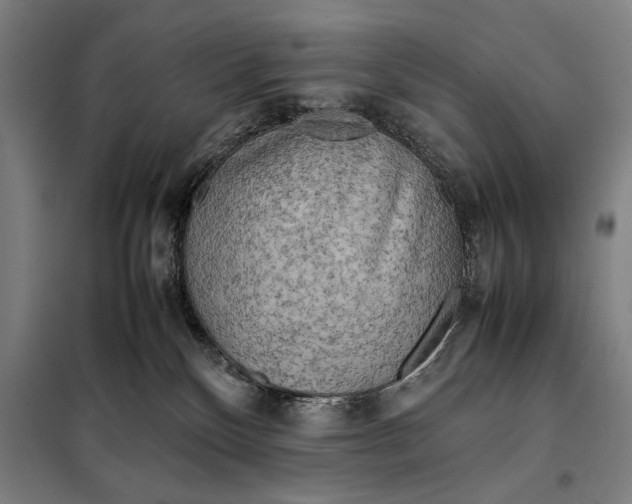 X0000097900136200804041446