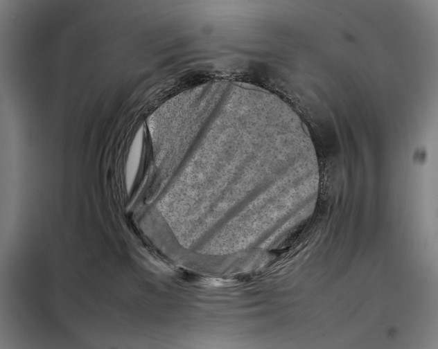 X0000097900137200804041446