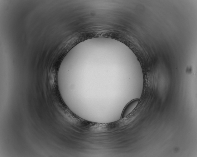 X0000097900138200804041446