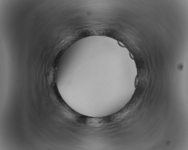 X0000097900139200804041446