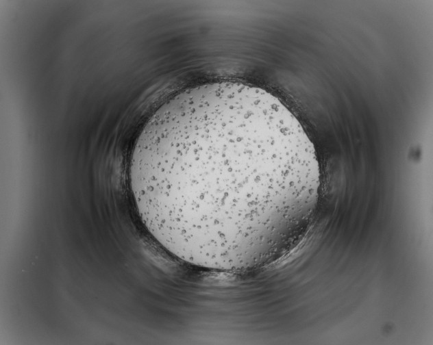 X0000097900140200804041446