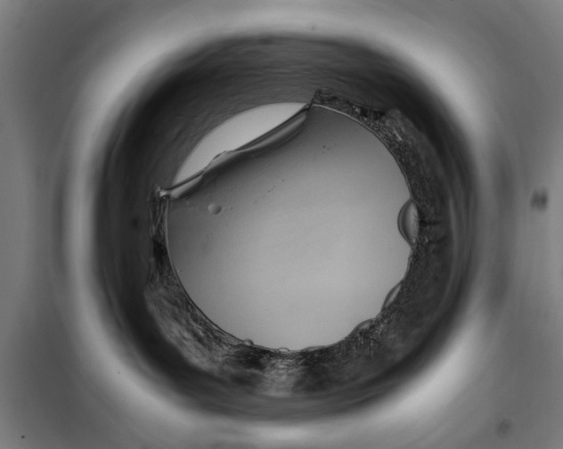 X0000097900143200804041446