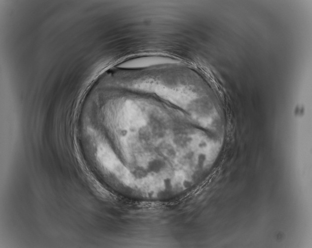 X0000097900145200804041445