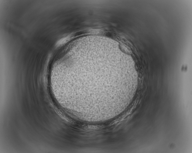 X0000097900149200804041445