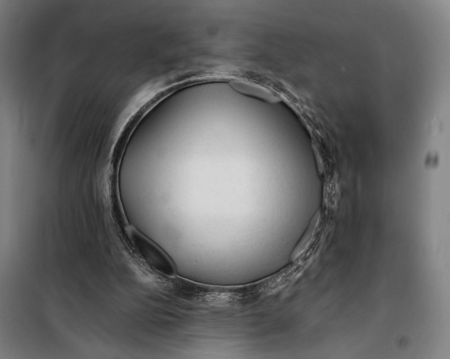 X0000097900152200804041445