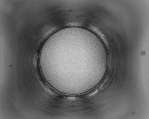 X0000097900153200804041445