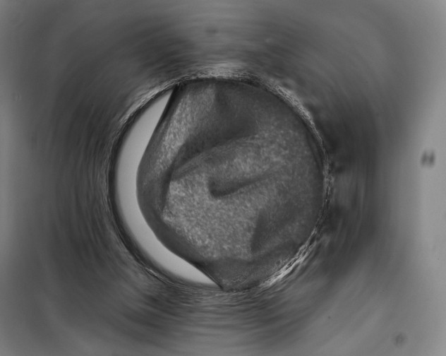 X0000097900154200804041445