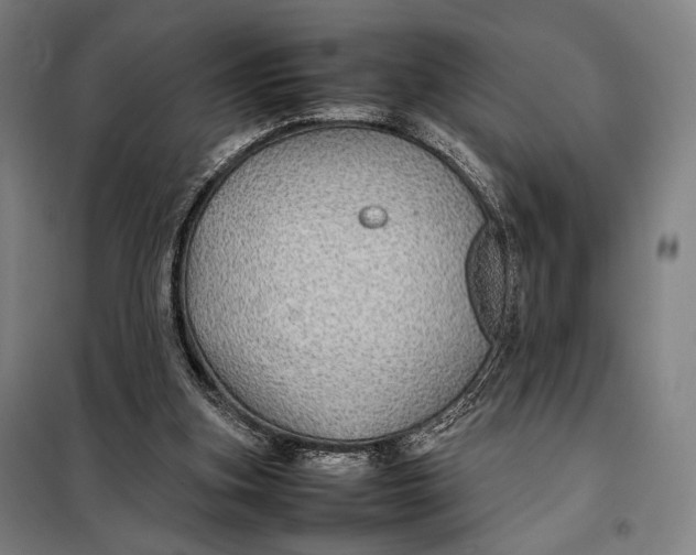 X0000097900155200804041445