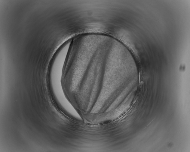 X0000097900156200804041445