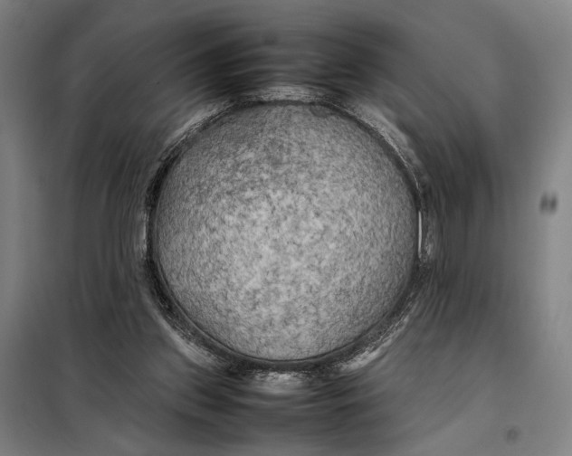 X0000097900157200804041445