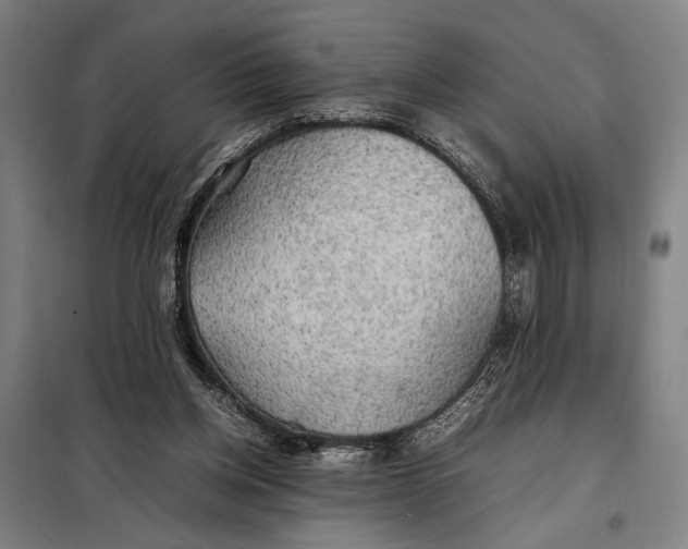 X0000097900158200804041445