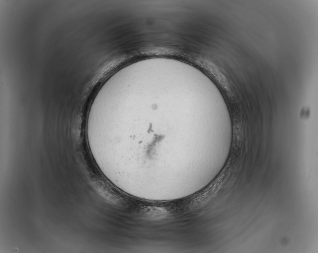 X0000097900159200804041445