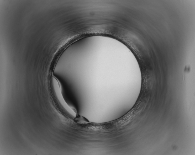 X0000097900160200804041445