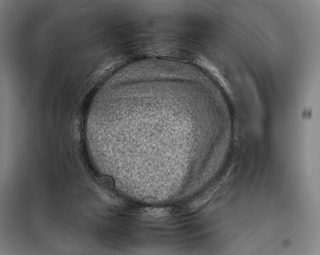 X0000097900161200804041445