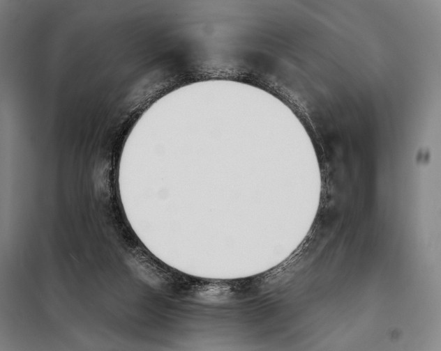 X0000097900162200804041445