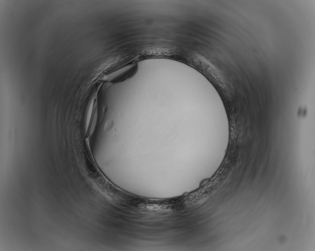 X0000097900163200804041445