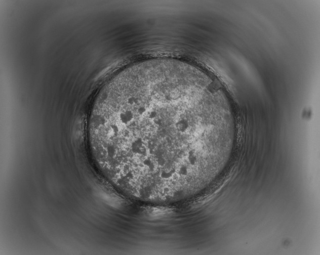 X0000097900165200804041445