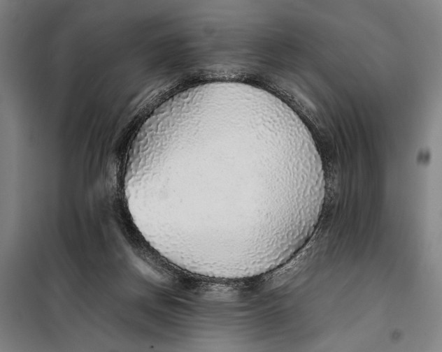 X0000097900166200804041445