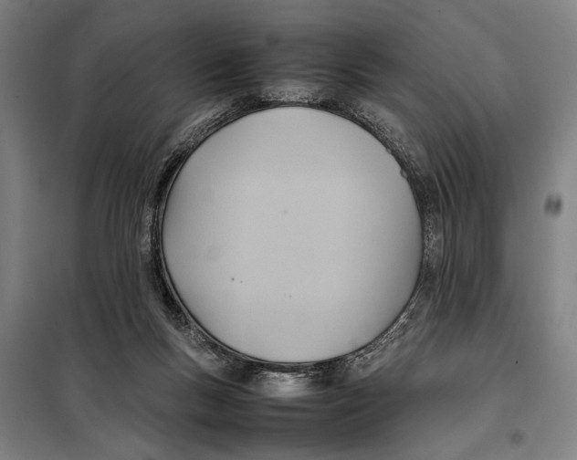 X0000097900167200804041446