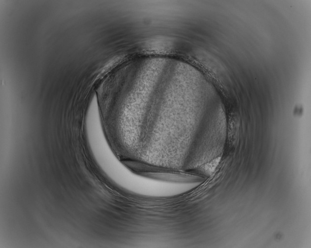 X0000097900168200804041446