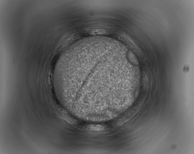 X0000097900169200804041446