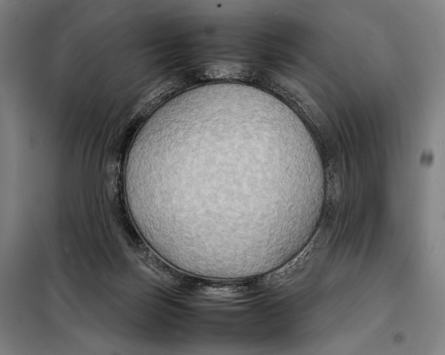 X0000097900171200804041446